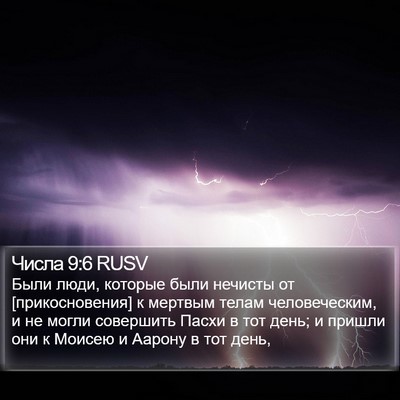 Числа 9:6 RUSV Bible Verse Image