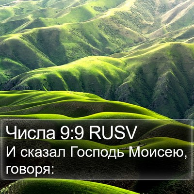 Числа 9:9 RUSV Bible Verse Image