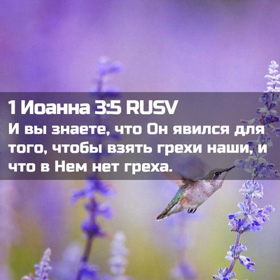 Picture 02 - 1 Иоанна 3:5 RUSV - И вы знаете, что Он явился - Bible Verse Picture
