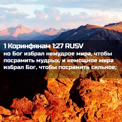 Picture 02 - 1 Коринфянам 1:27 RUSV - но Бог избрал немудрое - Bible Verse Picture