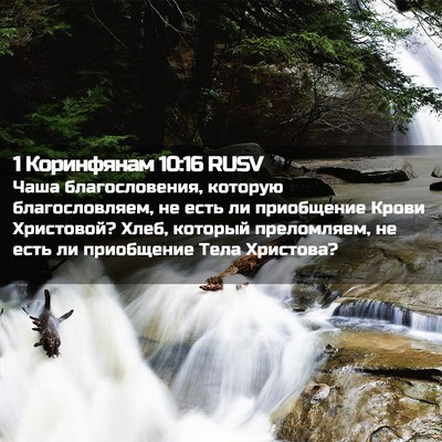 Picture 02 - 1 Коринфянам 10:16 RUSV - Чаша благословения, - Bible Verse Picture