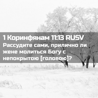 Picture 02 - 1 Коринфянам 11:13 RUSV - Рассудите сами, прилично - Bible Verse Picture