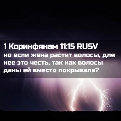 Picture 02 - 1 Коринфянам 11:15 RUSV - но если жена растит волосы, - Bible Verse Picture