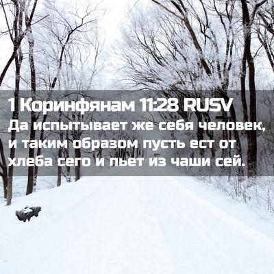 Picture 02 - 1 Коринфянам 11:28 RUSV - Да испытывает же себя - Bible Verse Picture