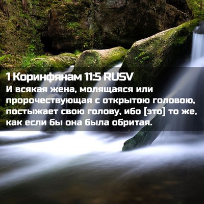 Picture 02 - 1 Коринфянам 11:5 RUSV - И всякая жена, молящаяся - Bible Verse Picture