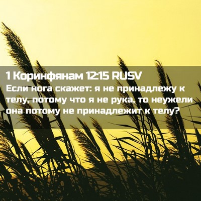 Picture 02 - 1 Коринфянам 12:15 RUSV - Если нога скажет: я не - Bible Verse Picture