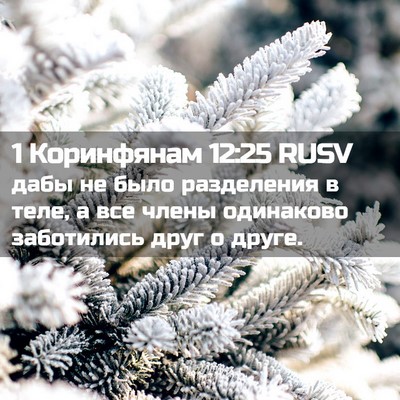 Picture 02 - 1 Коринфянам 12:25 RUSV - дабы не было разделения в - Bible Verse Picture