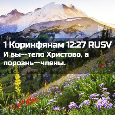 Picture 02 - 1 Коринфянам 12:27 RUSV - И вы--тело Христово, а - Bible Verse Picture
