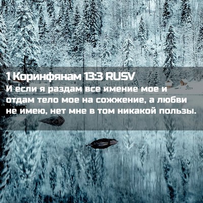 Picture 02 - 1 Коринфянам 13:3 RUSV - И если я раздам все имение - Bible Verse Picture