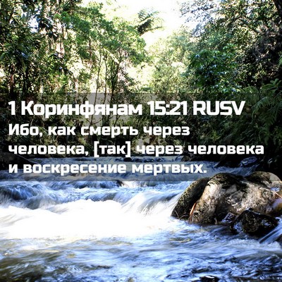 Picture 02 - 1 Коринфянам 15:21 RUSV - Ибо, как смерть через - Bible Verse Picture