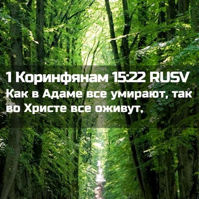 Picture 02 - 1 Коринфянам 15:22 RUSV - Как в Адаме все умирают, - Bible Verse Picture