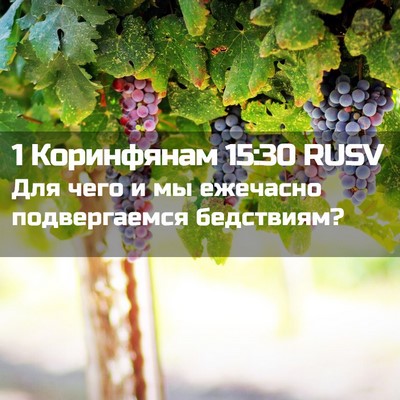 Picture 02 - 1 Коринфянам 15:30 RUSV - Для чего и мы ежечасно - Bible Verse Picture
