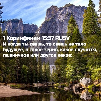 Picture 02 - 1 Коринфянам 15:37 RUSV - И когда ты сеешь, то сеешь - Bible Verse Picture