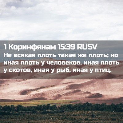 Picture 02 - 1 Коринфянам 15:39 RUSV - Не всякая плоть такая же - Bible Verse Picture
