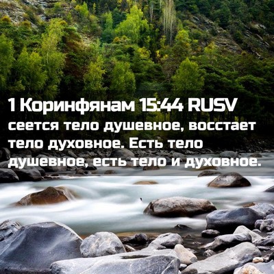 Picture 02 - 1 Коринфянам 15:44 RUSV - сеется тело душевное, - Bible Verse Picture