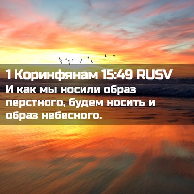 Picture 02 - 1 Коринфянам 15:49 RUSV - И как мы носили образ - Bible Verse Picture