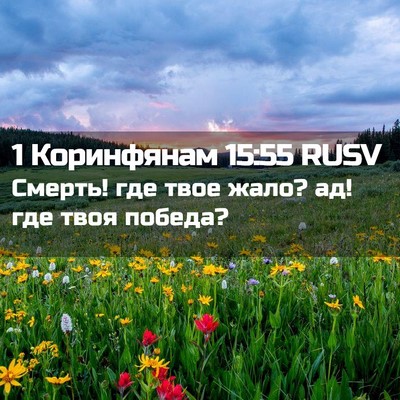 Picture 02 - 1 Коринфянам 15:55 RUSV - Смерть! где твое жало? ад! - Bible Verse Picture