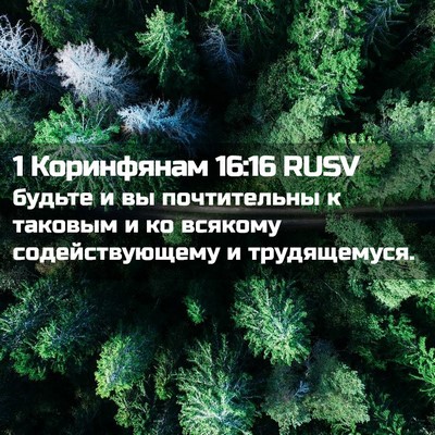 Picture 02 - 1 Коринфянам 16:16 RUSV - будьте и вы почтительны к - Bible Verse Picture
