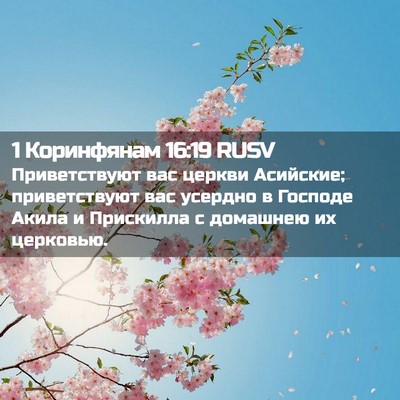 Picture 02 - 1 Коринфянам 16:19 RUSV - Приветствуют вас церкви - Bible Verse Picture