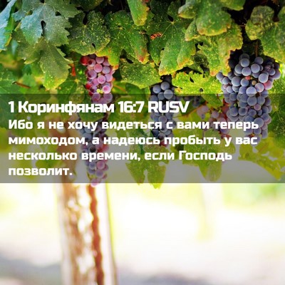 Picture 02 - 1 Коринфянам 16:7 RUSV - Ибо я не хочу видеться с - Bible Verse Picture
