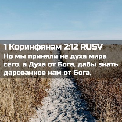 Picture 02 - 1 Коринфянам 2:12 RUSV - Но мы приняли не духа мира - Bible Verse Picture