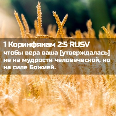 Picture 02 - 1 Коринфянам 2:5 RUSV - чтобы вера ваша - Bible Verse Picture