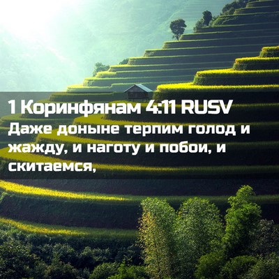 Picture 02 - 1 Коринфянам 4:11 RUSV - Даже доныне терпим голод и - Bible Verse Picture