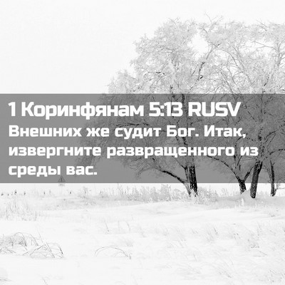 Picture 02 - 1 Коринфянам 5:13 RUSV - Внешних же судит Бог. Итак, - Bible Verse Picture