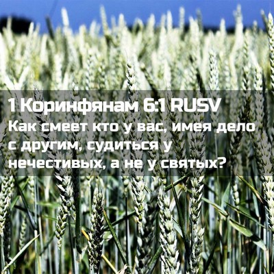 Picture 02 - 1 Коринфянам 6:1 RUSV - Как смеет кто у вас, имея - Bible Verse Picture