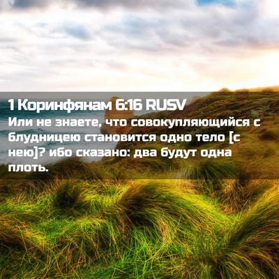 Picture 02 - 1 Коринфянам 6:16 RUSV - Или не знаете, что - Bible Verse Picture