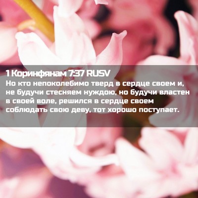Picture 02 - 1 Коринфянам 7:37 RUSV - Но кто непоколебимо тверд - Bible Verse Picture