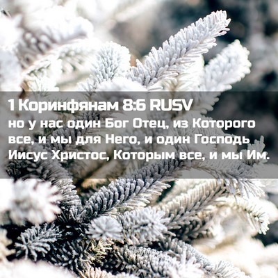 Picture 02 - 1 Коринфянам 8:6 RUSV - но у нас один Бог Отец, из - Bible Verse Picture