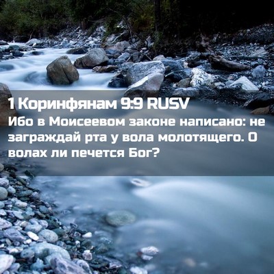 Picture 02 - 1 Коринфянам 9:9 RUSV - Ибо в Моисеевом законе - Bible Verse Picture