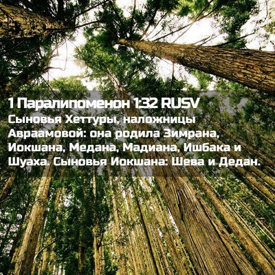 Picture 02 - 1 Паралипоменон 1:32 RUSV - Сыновья Хеттуры, наложницы - Bible Verse Picture