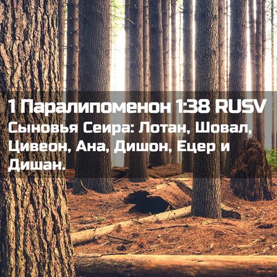 Picture 02 - 1 Паралипоменон 1:38 RUSV - Сыновья Сеира: Лотан, - Bible Verse Picture