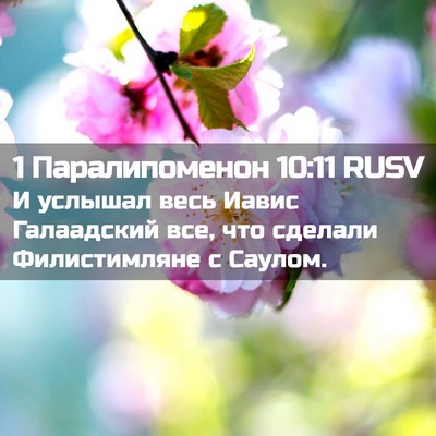 Picture 02 - 1 Паралипоменон 10:11 RUSV - И услышал весь Иавис - Bible Verse Picture