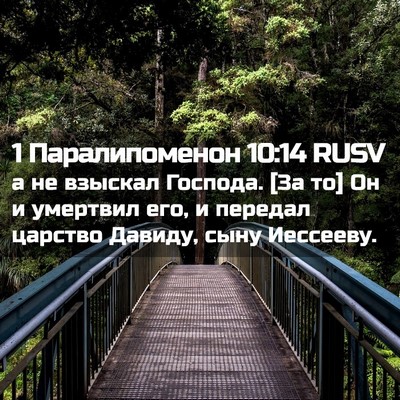 Picture 02 - 1 Паралипоменон 10:14 RUSV - а не взыскал Господа. [За - Bible Verse Picture