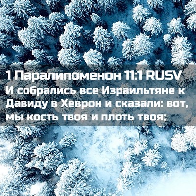 Picture 02 - 1 Паралипоменон 11:1 RUSV - И собрались все - Bible Verse Picture