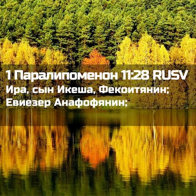 Picture 02 - 1 Паралипоменон 11:28 RUSV - Ира, сын Икеша, Фекоитянин; - Bible Verse Picture