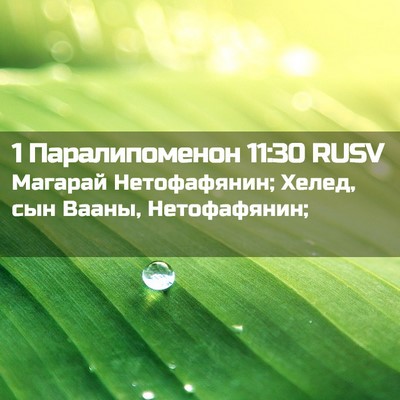 Picture 02 - 1 Паралипоменон 11:30 RUSV - Магарай Нетофафянин; - Bible Verse Picture