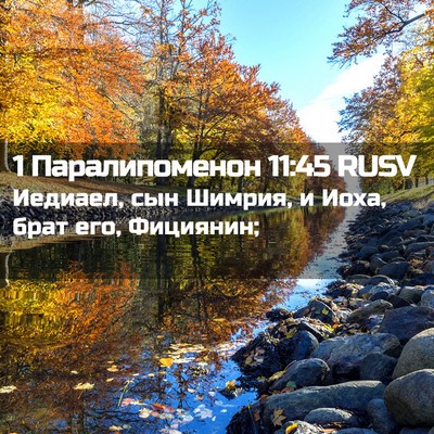 Picture 02 - 1 Паралипоменон 11:45 RUSV - Иедиаел, сын Шимрия, и Иоха, - Bible Verse Picture