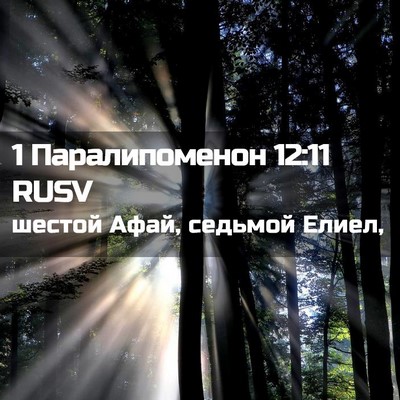 Picture 02 - 1 Паралипоменон 12:11 RUSV - шестой Афай, седьмой - Bible Verse Picture
