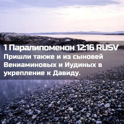 Picture 02 - 1 Паралипоменон 12:16 RUSV - Пришли также и из сыновей - Bible Verse Picture