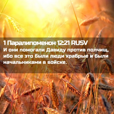 Picture 02 - 1 Паралипоменон 12:21 RUSV - И они помогали Давиду - Bible Verse Picture
