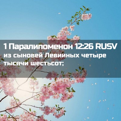 Picture 02 - 1 Паралипоменон 12:26 RUSV - из сыновей Левииных четыре - Bible Verse Picture