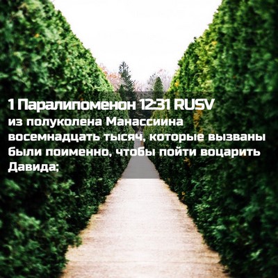 Picture 02 - 1 Паралипоменон 12:31 RUSV - из полуколена Манассиина - Bible Verse Picture
