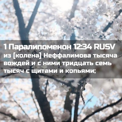 Picture 02 - 1 Паралипоменон 12:34 RUSV - из [колена] Неффалимова - Bible Verse Picture