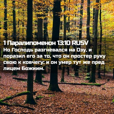 Picture 02 - 1 Паралипоменон 13:10 RUSV - Но Господь разгневался на - Bible Verse Picture