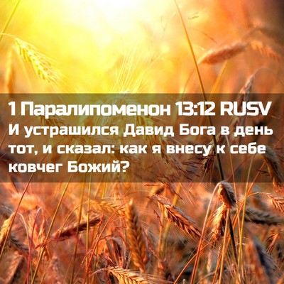 Picture 02 - 1 Паралипоменон 13:12 RUSV - И устрашился Давид Бога в - Bible Verse Picture