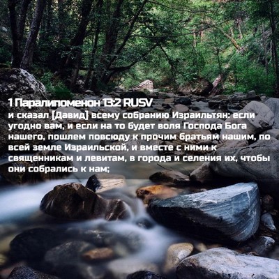 Picture 02 - 1 Паралипоменон 13:2 RUSV - и сказал [Давид] всему - Bible Verse Picture